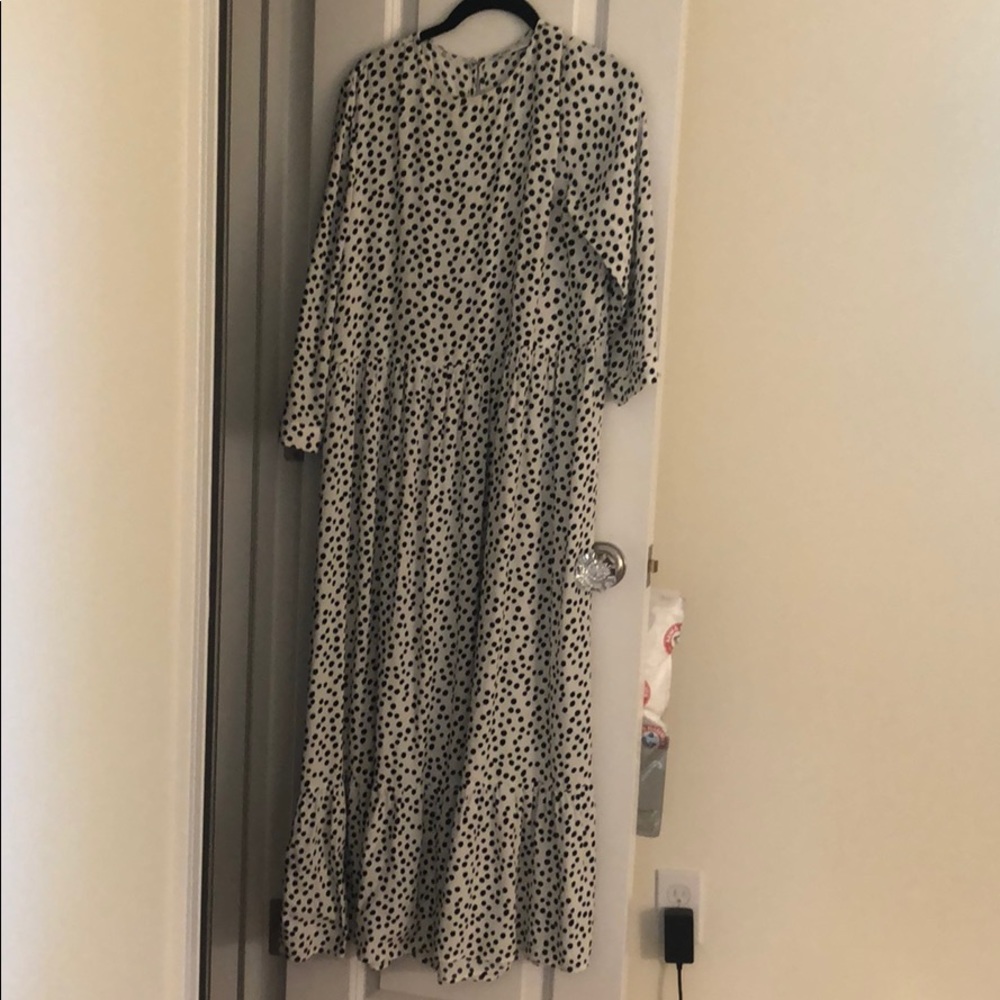 Zara polka dot maxi dress